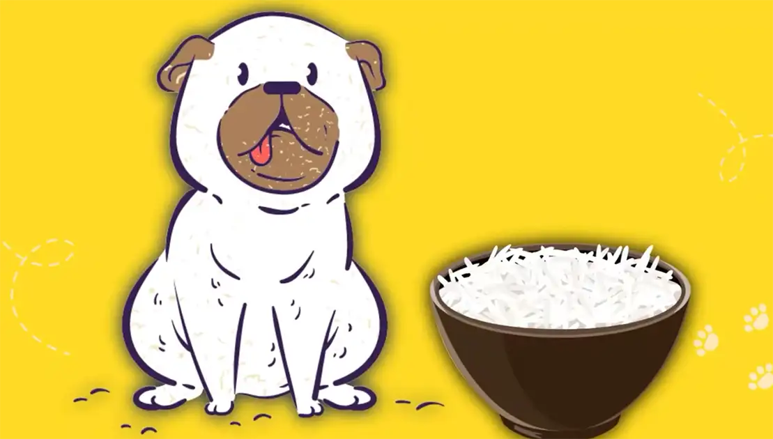 Is Rice Good for Dogs